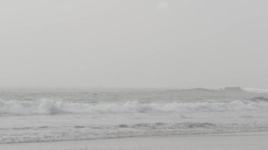 Sandy sisli Kaliforniya plajı. Pasifik Okyanusu kıyıları, deniz kıyısında yoğun sis. Çürük sisli dalgalar.