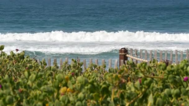 Velké přílivové vlny na pláži, Kalifornské pobřeží USA. Pobřeží Tichého oceánu, laťkový plot na pobřeží. — Stock video