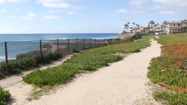 Punto de vista del paisaje marino, costa de California, EE.UU. Marea oceánica, con vistas al mar azul. Planta de hielo suculenta. — Vídeo de stock