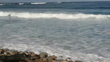 Okyanus dalgaları ve kayalar, Monterey, Kuzey Kaliforniya, ABD. Big Sur 'a 17 mil mesafede, Pasifik Sahil Otobanı' ndaki sahil golf turistik tesisi. Çakıl Sahili 'nin su ve deniz esintisi. Yolculuk