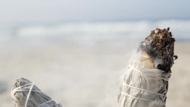 Белый дым шалфея, жжение пятнистой палки. Ароматизирующая медитация на берегу океана, морские волны. — стоковое видео