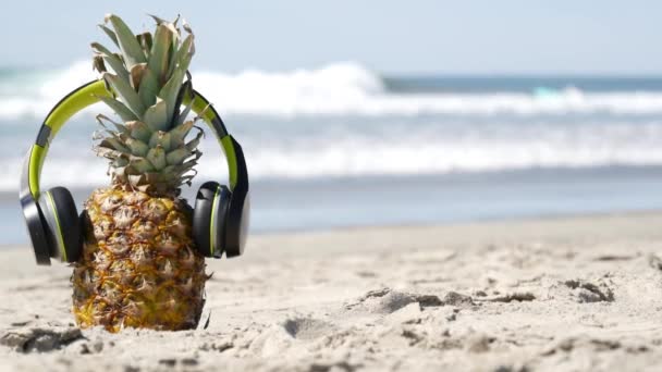 Ananas ve sluchátkách, písečné pobřeží oceánu. Tropické letní exotické ovoce. Ananas on shore. — Stock video