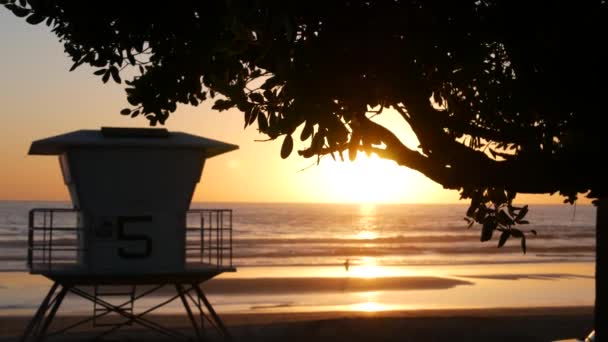 Lifeguard watch tower sunny sunset beach. Watchtower hut, pacific ocean coast. California summertime — Stock Video