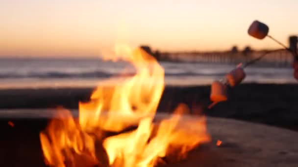 Hoyo de fogata en California USA. Fuego de campamento en la playa del mar océano, tostando malvavisco tostado en hoguera. — Vídeos de Stock
