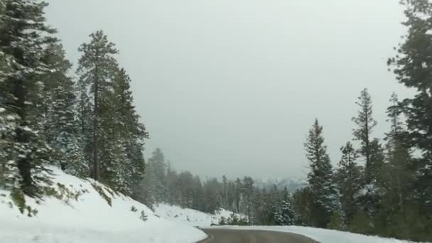 Neige et brouillard en forêt hivernale, conduite automobile, road trip en hiver Utah USA. Pins résineux, vue mystérieuse à travers le pare-brise de la voiture. Misty Bryce Canyon woodland. Ambiance calme, brume laiteuse dans le bois — Video