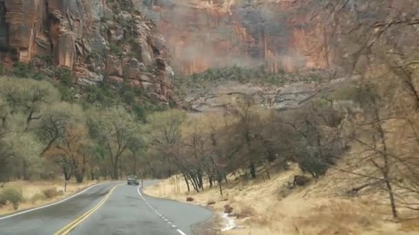 Road trip, autorijden in Zion Canyon, Utah, USA. Hitchwalking reizen in Amerika, herfst reis. Rode buitenaardse steile kliffen, regen en kale bomen. Mistig weer en kalme herfstsfeer. Zicht vanuit auto — Stockvideo