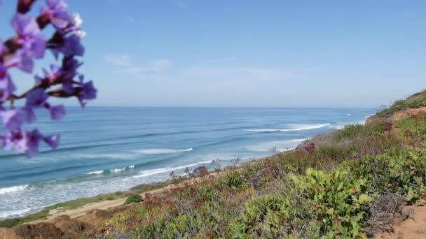 美国加利福尼亚海岸德尔马 · 托里松的海景景区。海洋潮汐，蓝色海浪忽视 — 图库视频影像