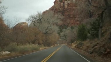 Yolculuk, Zion Canyon, Utah, ABD 'de araba kullanmak. Amerika 'da otostop çekmek, sonbahar seyahati. Kızıl uzaylı sarp kayalıkları, yağmur ve çıplak ağaçlar. Sisli hava ve sakin düşüş atmosferi. Arabadan görüntüle