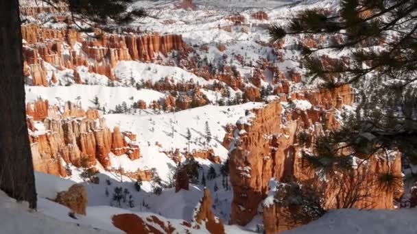 Bryce Canyon no inverno, neve em Utah, EUA. Hoodoos em anfiteatro, relevo erodido, vista panorâmica. Formação única de laranja. Arenito vermelho, pinheiro conífero ou abeto. Eco turismo na América — Vídeo de Stock