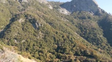 Sequoia Ormanı Ulusal Parkı 'ndaki Moro Rock' tan panoramik manzara, Kuzey Kaliforniya, ABD. Sierra Nevada dağlarındaki ağaçlara, kozalaklı ağaçlara tepeden bakan ağaçlara. Krallar Kanyonu 'nun yakınındaki görüş açısı
