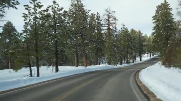 Neve na floresta invernal, condução de automóveis, viagem de carro no inverno Utah EUA. Pinhais de coníferas, vista do carro através do pára-brisas. Férias de Natal, viagem de Dezembro a Bryce Canyon. Eco turismo para as florestas — Vídeo de Stock