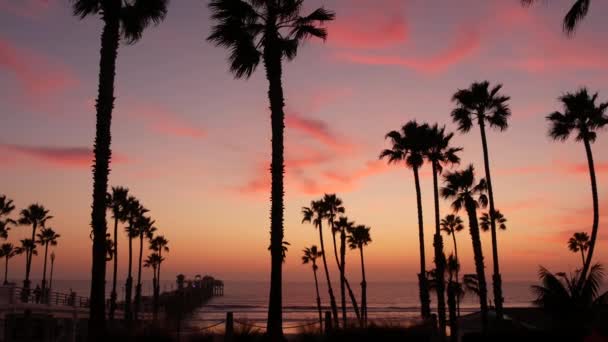 カリフォルニア州のヤシと夕暮れの空米国。熱帯の海のビーチ日没の雰囲気。ロサンゼルスの波. — ストック動画