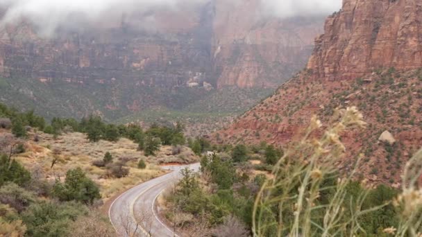 Zion Canyon, Utah, ABD 'deki kızıl sarp kayalıklar. Otostop çekmek, Amerika 'da seyahat etmek, sonbahar yolculuğu. Yağmur, kayalar ve çıplak ağaçlar. Sisli hava ve sakin düşüş atmosferi. Sarı çizgili yol — Stok video