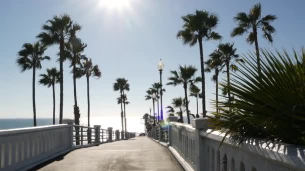 Пальмы и пиры, океанский пляж, летнее побережье Калифорнии, солнечный день в США. Ослепительное солнце — стоковое видео