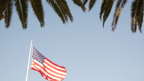 Palmen und amerikanische Flagge, Los Angeles, Kalifornien USA. Sommerliche Ästhetik von Santa Monica und Venice Beach. Sternenbanner, Sterne und Streifen. Atmosphäre des Patriotismus in Hollywood. Alter Ruhm — Stockvideo