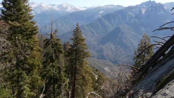 セコイアの森国立公園、北カリフォルニア、米国のモロロックからのパノラマビュー。古い成長の森、シエラネバダ山脈の針葉樹林を見下ろす。キングスキャニオン近くのビューポイント — ストック動画