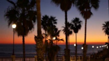 Odaklanamayan palmiyeler, alacakaranlık gökyüzü, Kaliforniya ABD. Tropik plaj günbatımı atmosferi. Los Angeles titreşimleri.