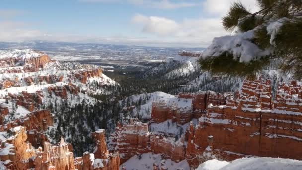 Kanion Bryce zimą, śnieg w Utah, USA. Hoodoo w amfiteatrze, erodowana ulga, panoramiczny punkt widokowy. Wyjątkowa pomarańczowa formacja. Czerwony piaskowiec, iglasta sosna lub jodła. Turystyka ekologiczna w Ameryce — Wideo stockowe