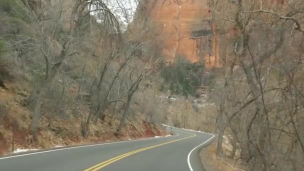 Výlet autem v Zion Canyon, Utah, USA. Stopování v Americe, podzimní cesta. Červené cizí strmé útesy, déšť a holé stromy. Mlhavé počasí a klidná podzimní atmosféra. Pohled z auta — Stock video