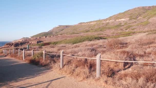 Point Loma nationaal park, natuurreservaat, trekking en trail wandelen, Californië — Stockvideo