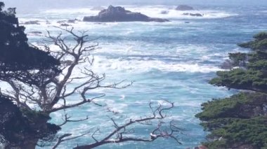 Kayalık uçurum, okyanus plajı, Point Lobos, California sahili. Dalgalar çarpıyor.