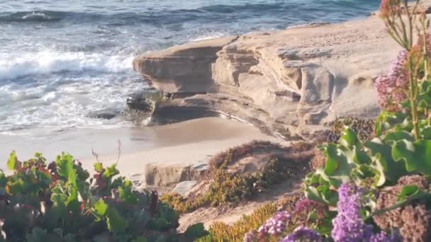 Havsvågor på stranden, eroderad klippa eller bluff, La Jolla, Kaliforniens kust, USA. — Stockvideo