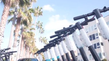 Sokak kaldırımına, palmiye ağaçlarına, Kaliforniya 'ya park edilmiş kiralık elektrikli scooter' lar..