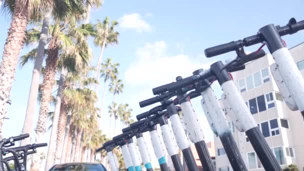 Rental electric scooters parked on street sidewalk, palm trees, California, USA. — Stock Video