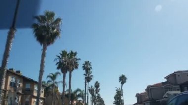 Los Angeles yakınlarındaki şehir caddesinde palmiye ağacı, Kaliforniya yaz tatili yolculukları