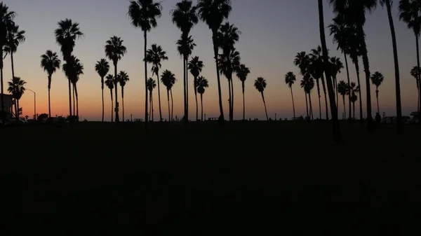 Sziluettek pálmafák és az emberek sétálnak a strandon naplementekor, Kalifornia partjainál, USA — Stock Fotó