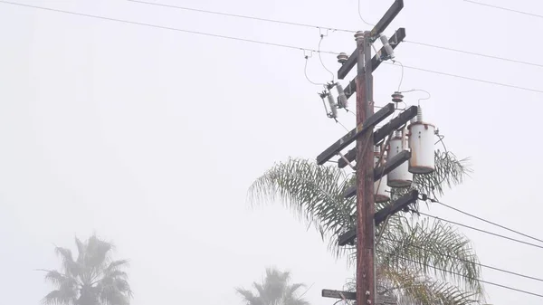 Palmbomen in mist op straat, mistig mistig weer en elektriciteitsleiding, Californië — Stockfoto