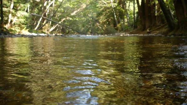 Rzeka w lesie lub lesie, kalifornijskie drewno. Strumień strumienia falistej powierzchni wody — Zdjęcie stockowe