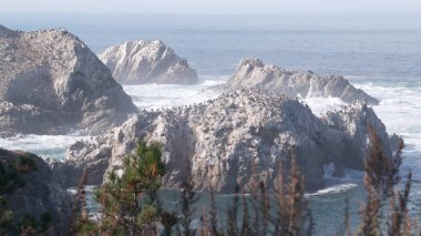 Pelikanlar sürüsü, kayalık uçurum adası, okyanus, Point Lobos, California. Kuşlar uçuyor