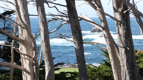 Oceaangolven, cipressen dennenbos, 17 mijl rijden, Monterey, Californische kust — Stockvideo