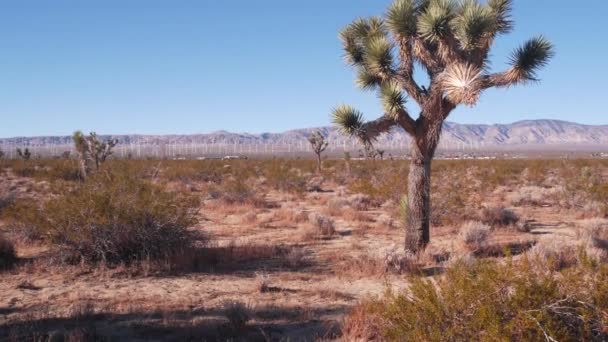 Moinhos de vento no parque eólico, geradores de energia eólica. Parque eólico do deserto, EUA. — Vídeo de Stock