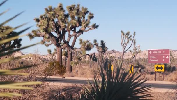 Keresztút tábla, útkereszteződés, Kalifornia, USA. Joshua fa sivatag vadon — Stock videók
