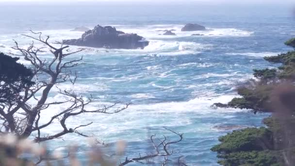 Skalní útes, oceánská pláž, Point Lobos, Kalifornské pobřeží. Havárie vln. — Stock video