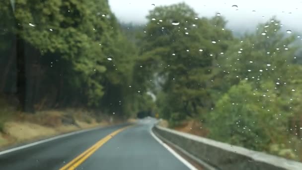 Chuva cai no pára-brisas, carro dirigindo na floresta de Yosemite, viagem de carro, Califórnia. — Vídeo de Stock