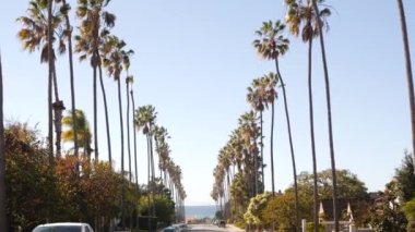 Palmiye ağaçları, Los Angeles, Kaliforniya kıyısına yakın bir şehir. Sahildeki palmiyeler.