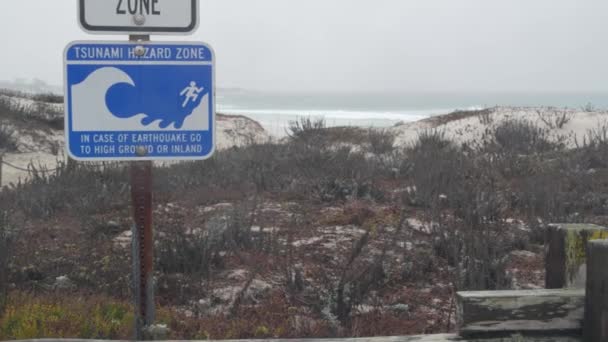 Αμμώδεις αμμόλοφοι στην ακτή της Καλιφόρνια. Ομιχλώδης βροχερός καιρός, κρύα θάλασσα. — Αρχείο Βίντεο
