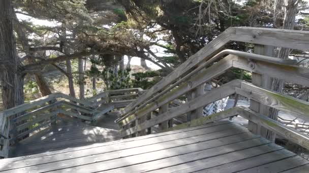Holztreppen zu Lone Cypress, 17-Meilen-Fahrt, Monterey, Kalifornien. Kiefern. — Stockvideo