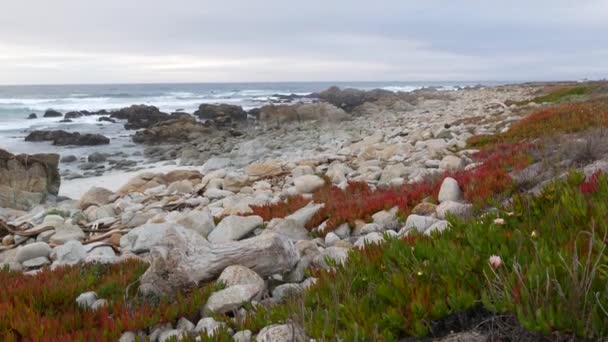 Rocky craggy ocean coast, sea water waves crashing on rocks, Monterey California — Vídeos de Stock