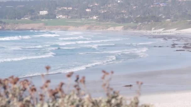 Praia de areia oceânica, costa da Califórnia, ondas de água do mar a cair. Tempo ensolarado, nevoeiro — Vídeo de Stock