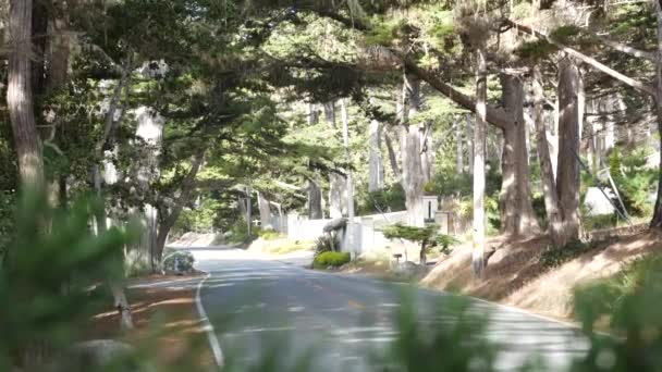 Scenic 17 mil berkendara, Monterey, California. Perjalanan melalui hutan pohon cemara. — Stok Video