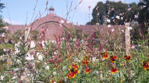 植物の建物ドーム、庭、花や花を咲かせます。サンディエゴ・バルボア・パーク — ストック動画