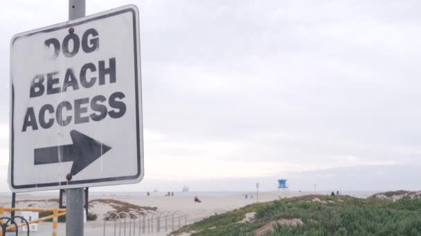 Dog friendly beach access Road sign, Καλιφόρνια ΗΠΑ. Κατοικίδια ζώα περπατούν στην ακτή του ωκεανού. — Αρχείο Βίντεο