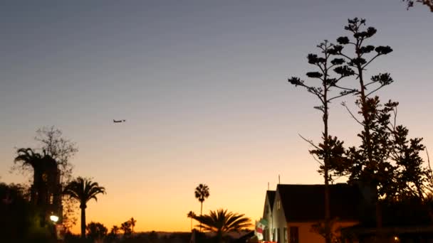 美丽的仙人掌在日落黄昏时绽放,西加州,美国.沙漠城镇 — 图库视频影像
