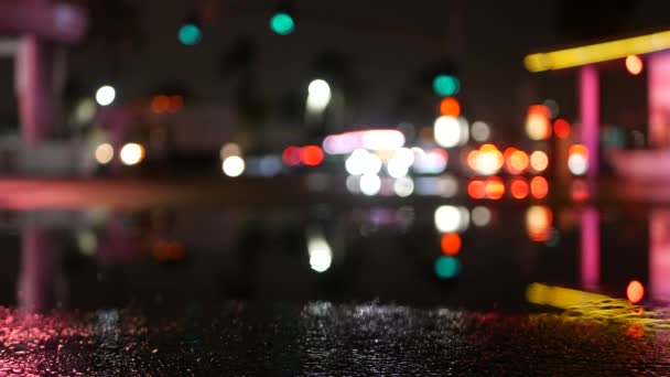 Odraz neonových světel v louži na silnici. Dešťové kapky, mokrý asfalt městské ulice — Stock video