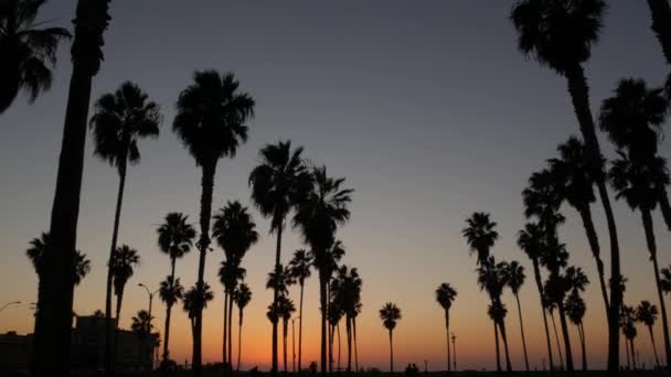 Σιλουέτες φοίνικες και οι άνθρωποι περπατούν στην παραλία στο ηλιοβασίλεμα, Καλιφόρνια ακτή, ΗΠΑ — Αρχείο Βίντεο