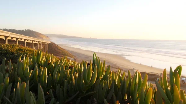 Brug op Pacific Coast Highway, Torrey Pines strand zonsondergang, Californië road trip — Stockfoto